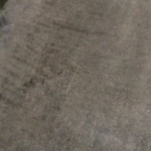 Meet your Posher, Rene